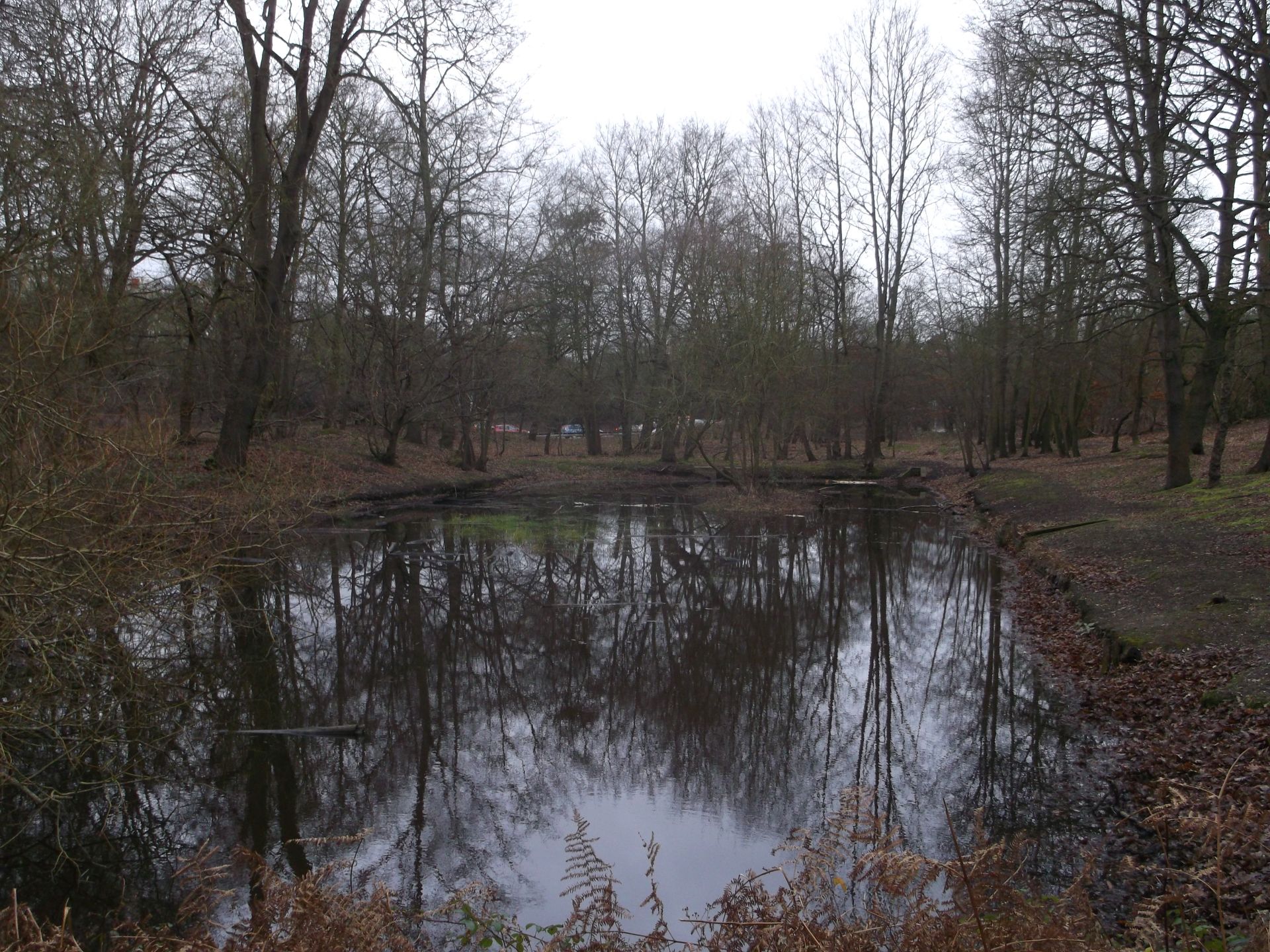 Curling Pond, Wimbledon Common Photo © David Anstiss (cc-by-sa/2.0)